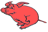 červená prasata